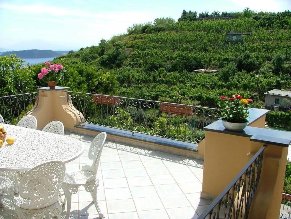 Villa Rosalia Ischia Exterior photo